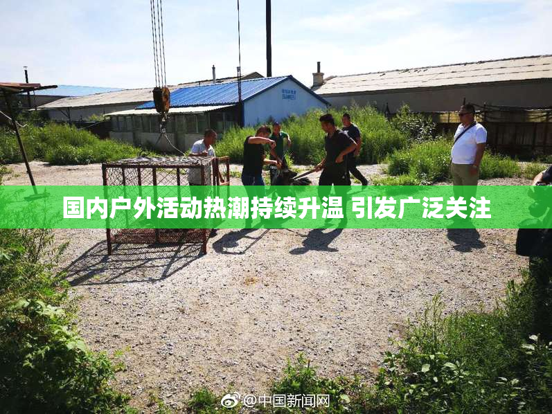 国内户外活动热潮持续升温 引发广泛关注