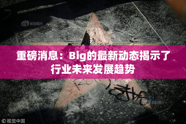 重磅消息：Big的最新动态揭示了行业未来发展趋势
