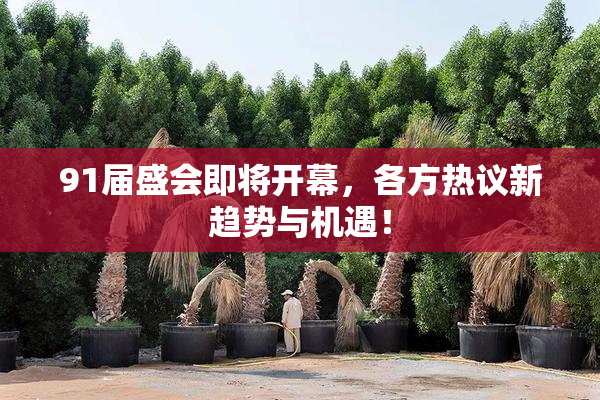 91届盛会即将开幕，各方热议新趋势与机遇！