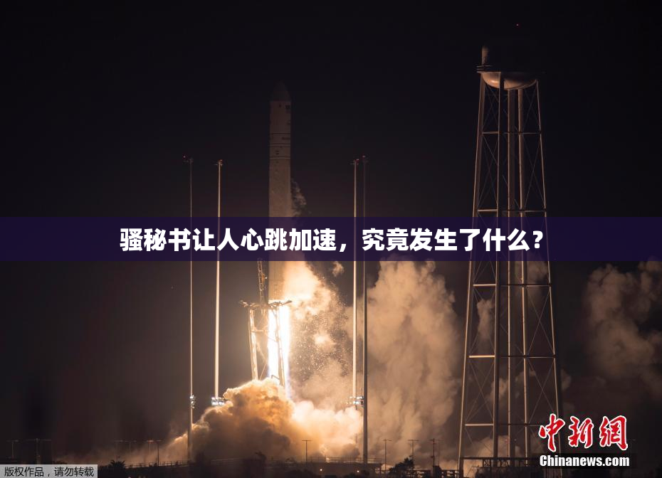骚秘书让人心跳加速，究竟发生了什么？