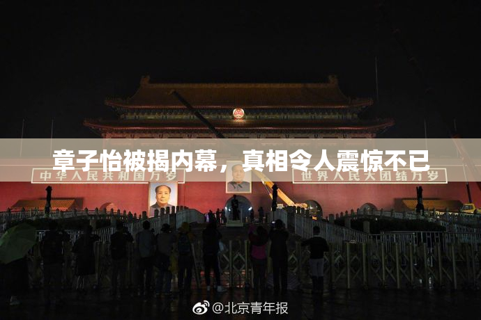 章子怡被揭内幕，真相令人震惊不已