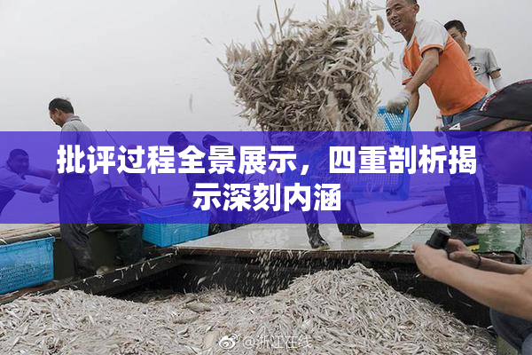 批评过程全景展示，四重剖析揭示深刻内涵