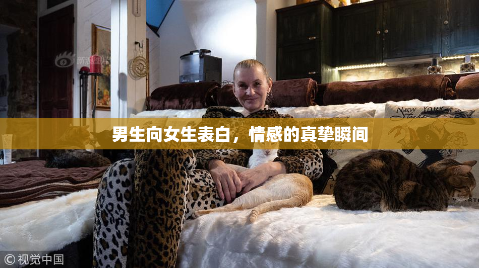 男生向女生表白，情感的真挚瞬间