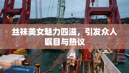 丝袜美女魅力四溢，引发众人瞩目与热议