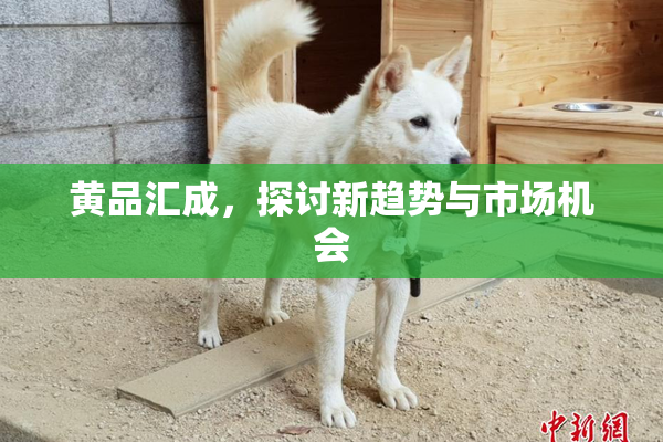 黄品汇成，探讨新趋势与市场机会