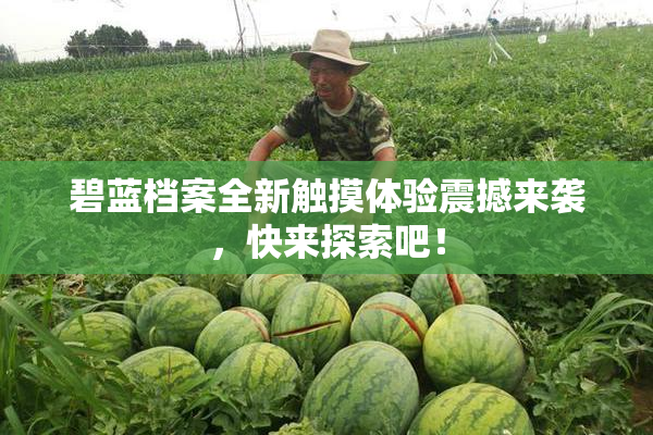 碧蓝档案全新触摸体验震撼来袭，快来探索吧！