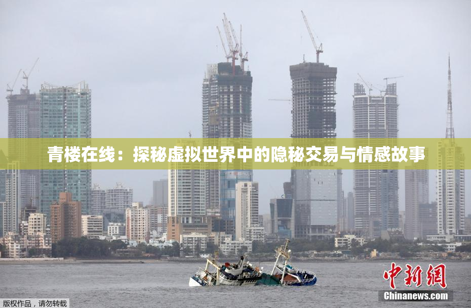 青楼在线：探秘虚拟世界中的隐秘交易与情感故事