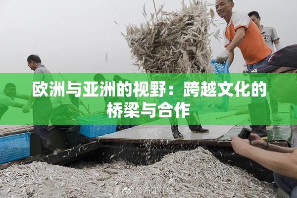 欧洲与亚洲的视野：跨越文化的桥梁与合作