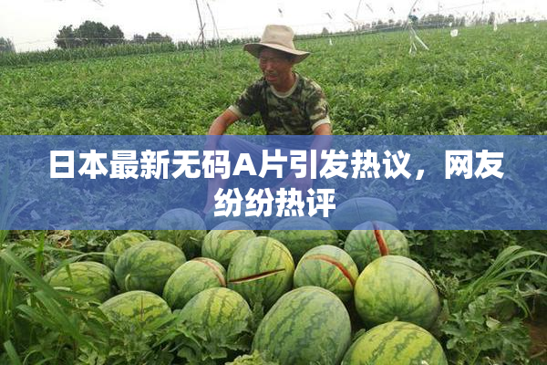 日本最新无码A片引发热议，网友纷纷热评