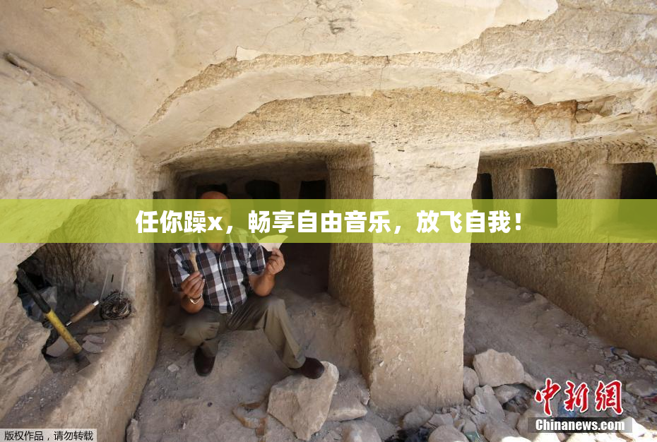 任你躁x，畅享自由音乐，放飞自我！