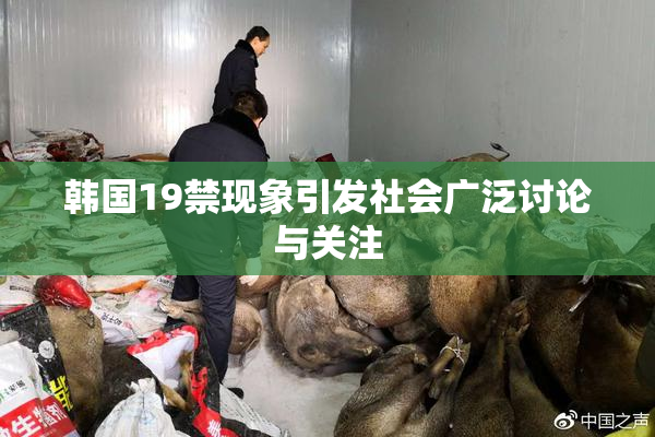 韩国19禁现象引发社会广泛讨论与关注