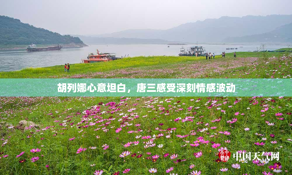 胡列娜心意坦白，唐三感受深刻情感波动