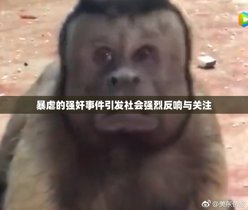 暴虐的强奸事件引发社会强烈反响与关注