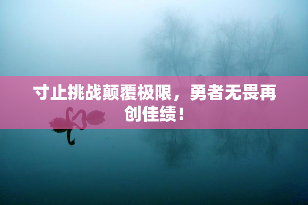 寸止挑战颠覆极限，勇者无畏再创佳绩！