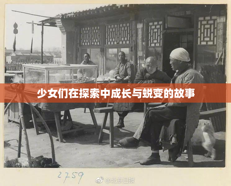 少女们在探索中成长与蜕变的故事
