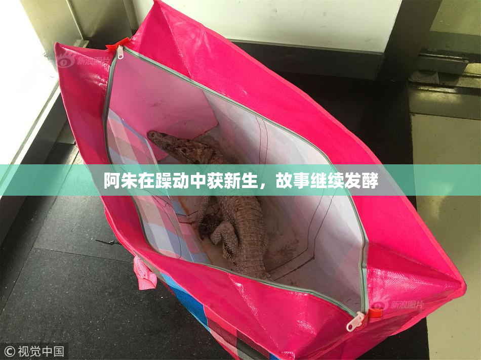 阿朱在躁动中获新生，故事继续发酵
