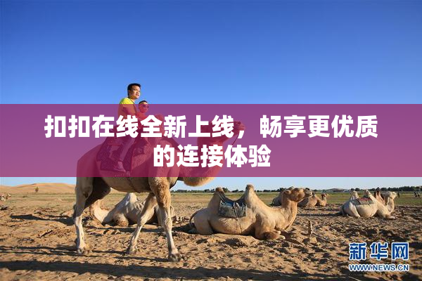 扣扣在线全新上线，畅享更优质的连接体验