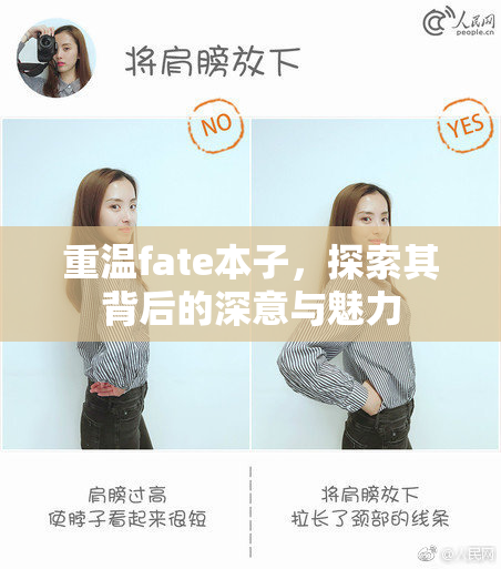 重温fate本子，探索其背后的深意与魅力
