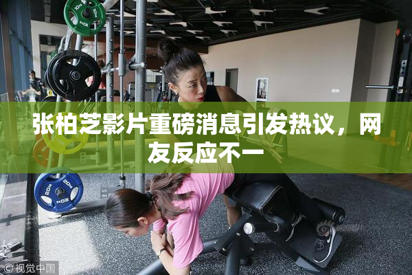 张柏芝影片重磅消息引发热议，网友反应不一