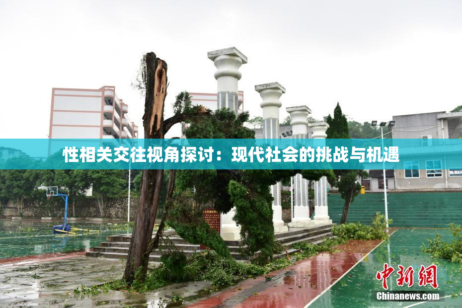 性相关交往视角探讨：现代社会的挑战与机遇