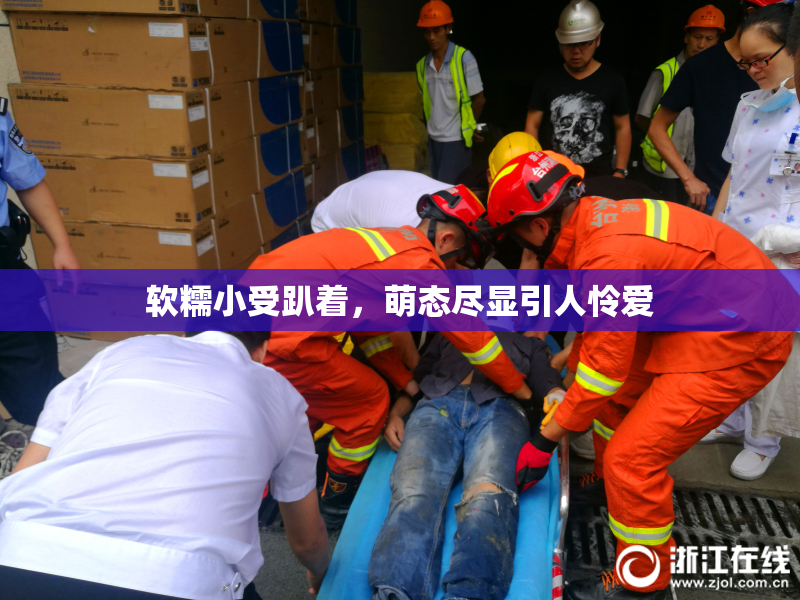 软糯小受趴着，萌态尽显引人怜爱