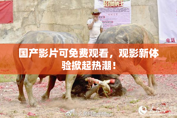 国产影片可免费观看，观影新体验掀起热潮！
