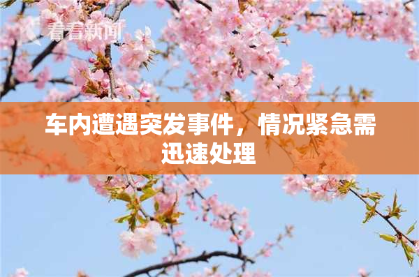 车内遭遇突发事件，情况紧急需迅速处理