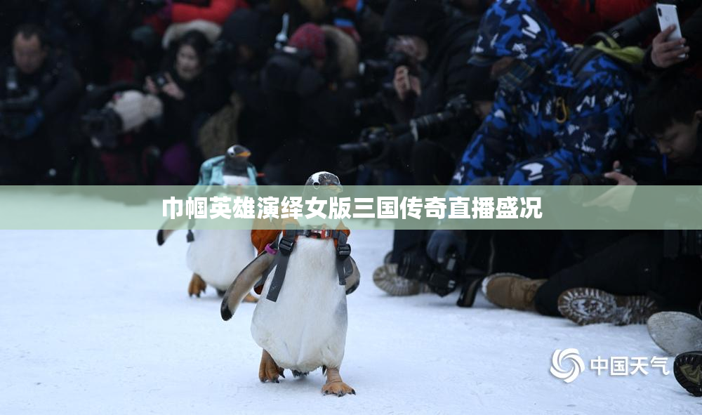 巾帼英雄演绎女版三国传奇直播盛况