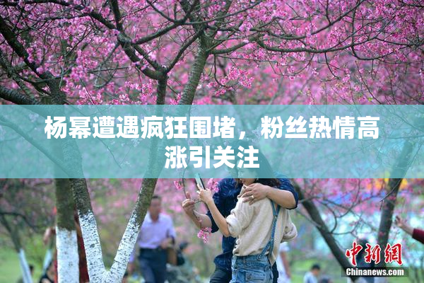 杨幂遭遇疯狂围堵，粉丝热情高涨引关注
