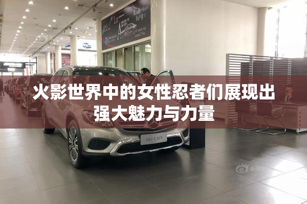 火影世界中的女性忍者们展现出强大魅力与力量