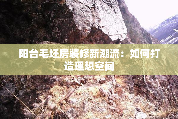 阳台毛坯房装修新潮流：如何打造理想空间