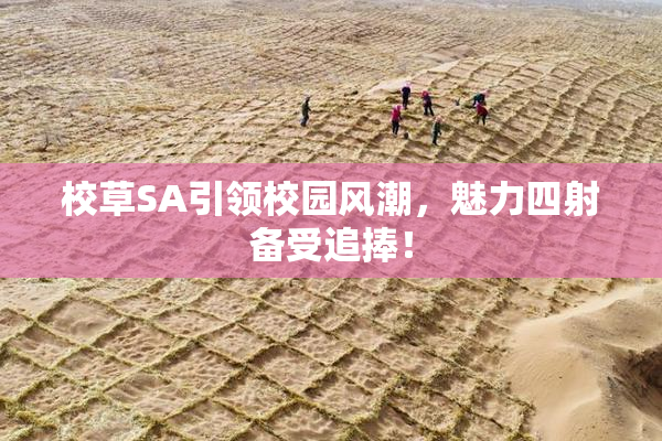 校草SA引领校园风潮，魅力四射备受追捧！