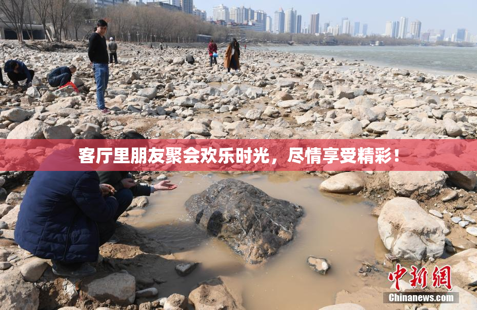 客厅里朋友聚会欢乐时光，尽情享受精彩！