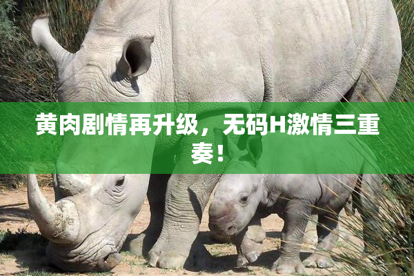 黄肉剧情再升级，无码H激情三重奏！