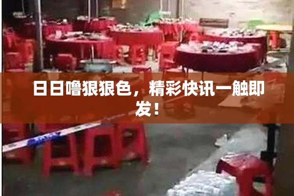 日日噜狠狠色，精彩快讯一触即发！