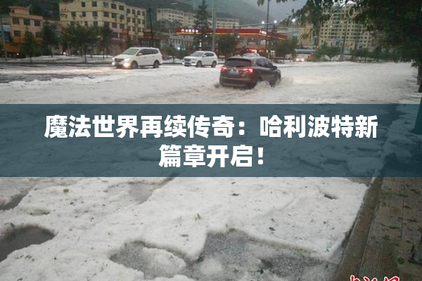 魔法世界再续传奇：哈利波特新篇章开启！