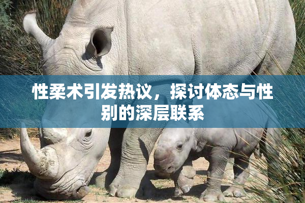 性柔术引发热议，探讨体态与性别的深层联系