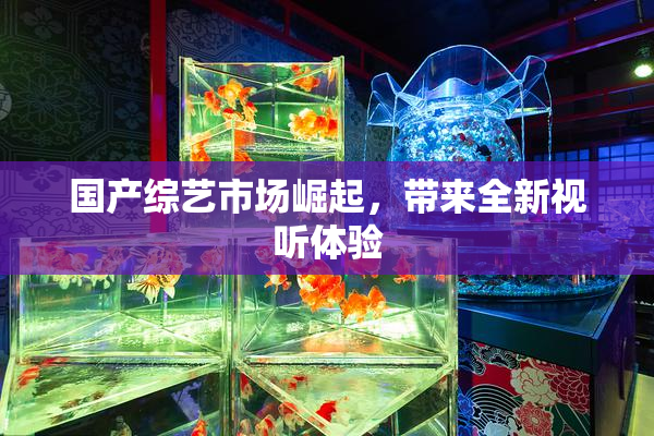 国产综艺市场崛起，带来全新视听体验