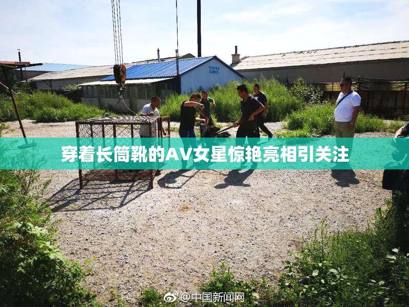 穿着长筒靴的AV女星惊艳亮相引关注