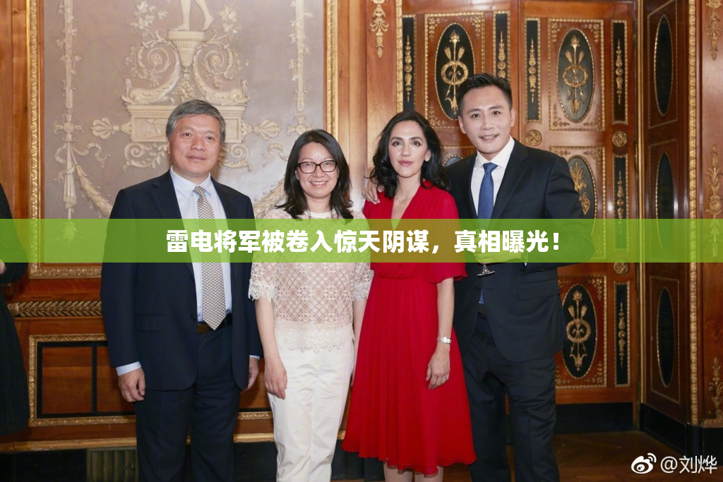 雷电将军被卷入惊天阴谋，真相曝光！