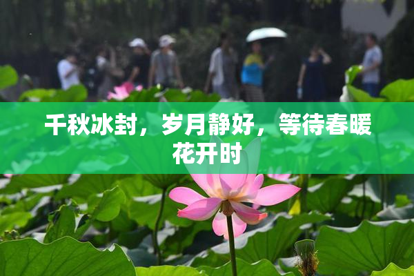 千秋冰封，岁月静好，等待春暖花开时