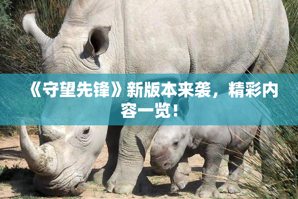 《守望先锋》新版本来袭，精彩内容一览！