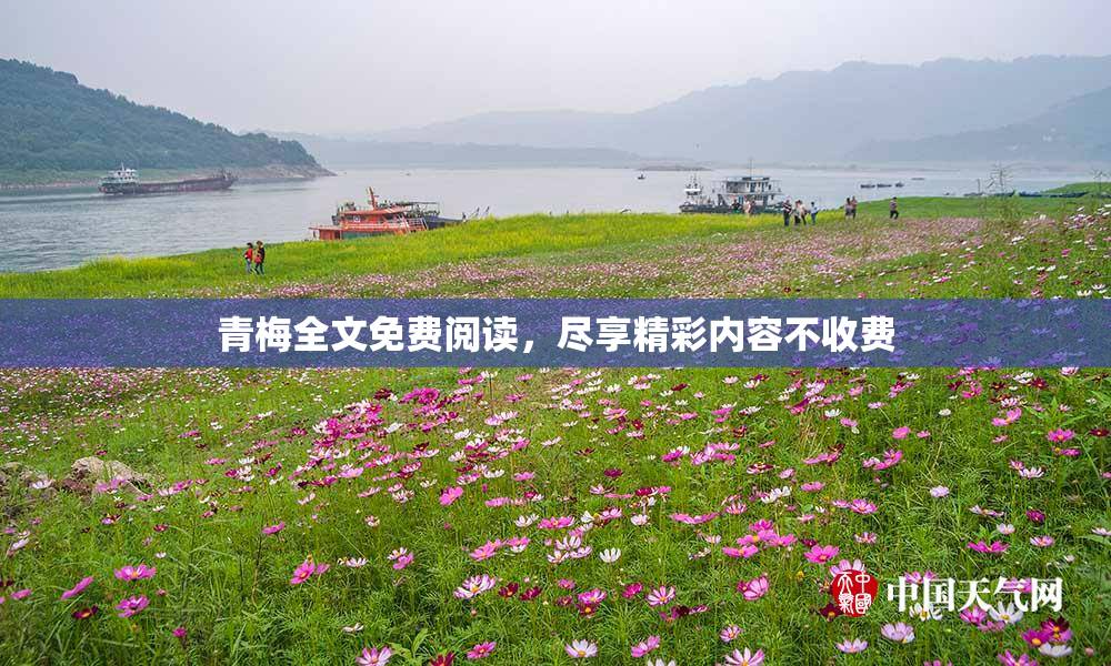 青梅全文免费阅读，尽享精彩内容不收费