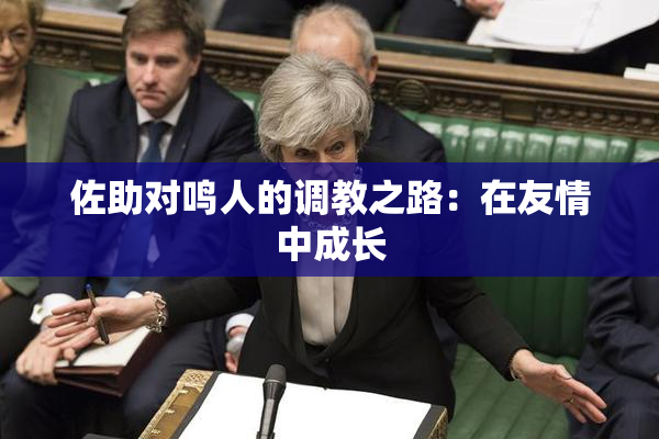 佐助对鸣人的调教之路：在友情中成长