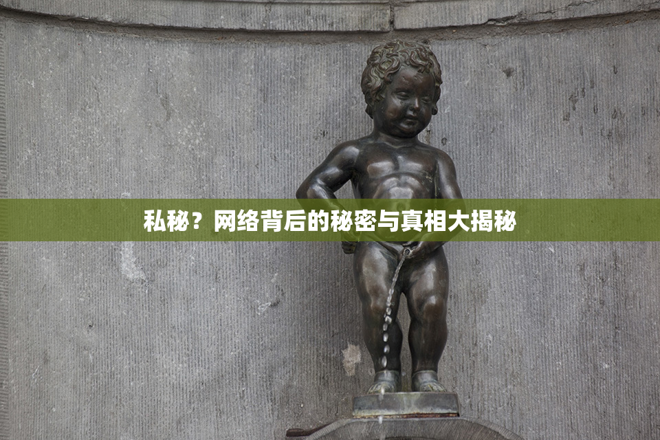 私秘？网络背后的秘密与真相大揭秘