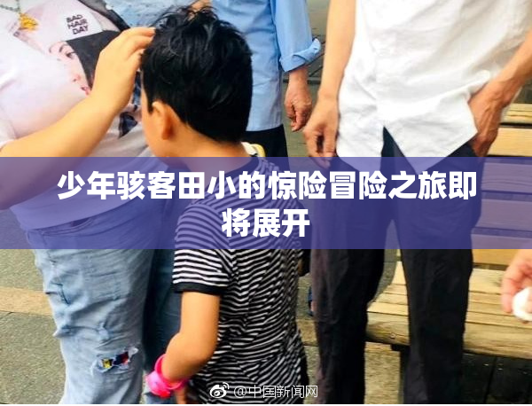少年骇客田小的惊险冒险之旅即将展开