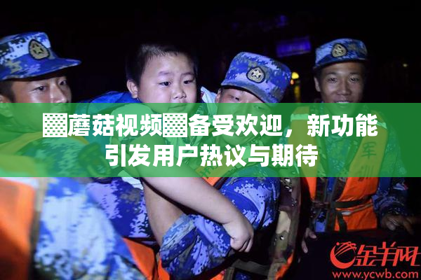 ▓蘑菇视频▓备受欢迎，新功能引发用户热议与期待