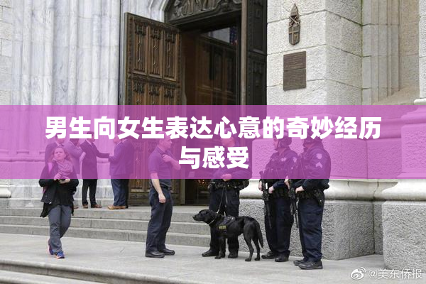男生向女生表达心意的奇妙经历与感受