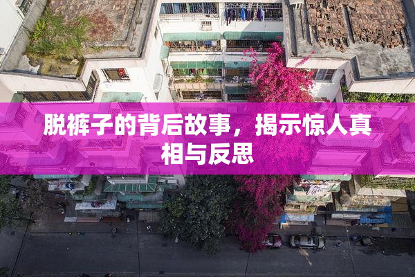 脱裤子的背后故事，揭示惊人真相与反思