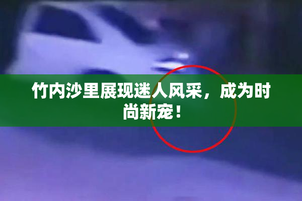 竹内沙里展现迷人风采，成为时尚新宠！